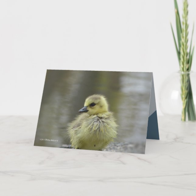 Sweet Baby Karte (Vorderseite)