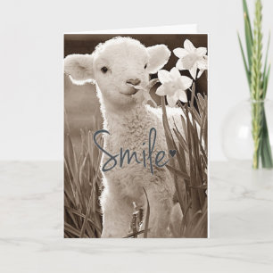 **SWEET BABY LAMB IST SO GLÜCKLICH FÜR SIE** GLÜCK KARTE