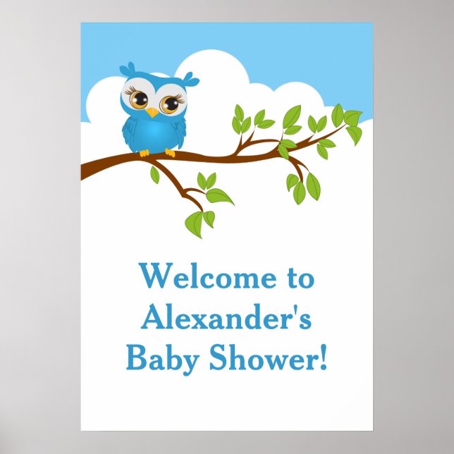 Sweet Baby Owl Boy Baby Shower Poster (Vorne)