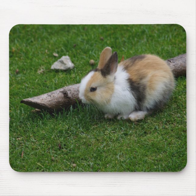 Sweet Baby Rabbit Mousepad (Vorne)