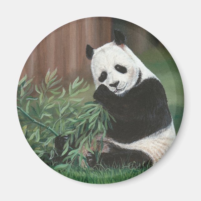 Sweet Bamboo Panda Bären Magnet (Vorne)