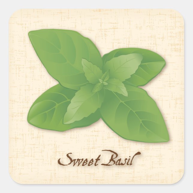 Sweet Basil Square Sticker (Vorderseite)