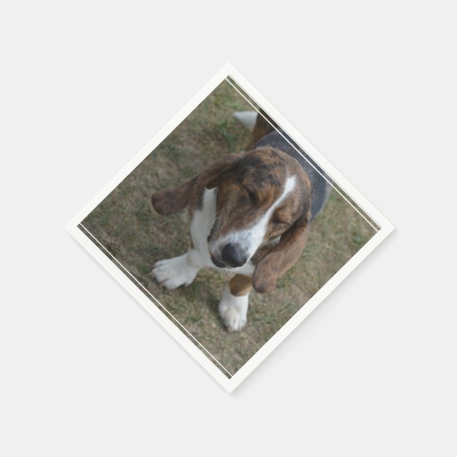 Sweet Basset Hound Serviette (Ecke)