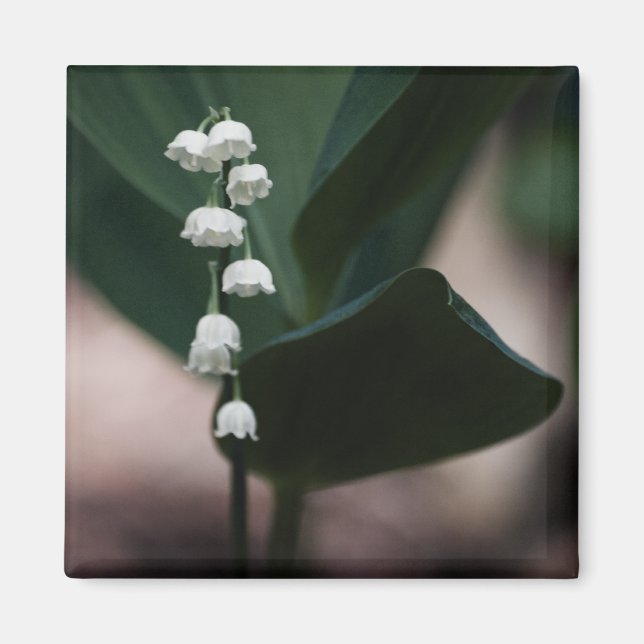 Sweet Bells Magnet (Vorne)