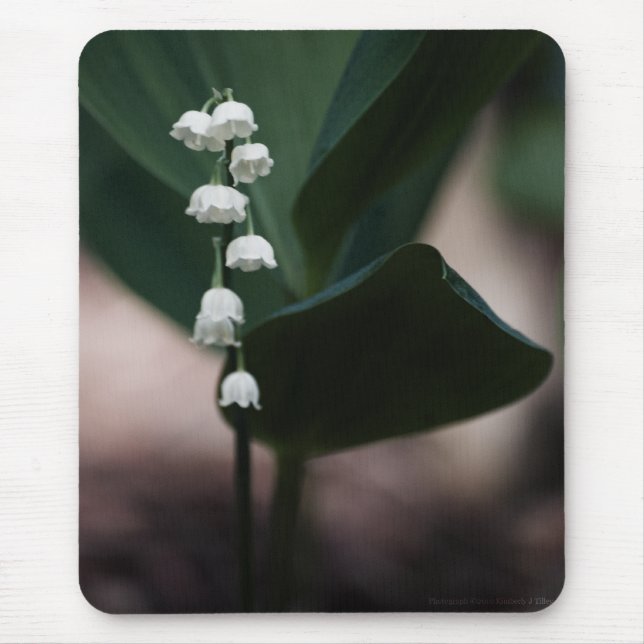 Sweet Bells Mousepad (Vorne)