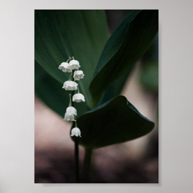 Sweet Bells Print Poster (Vorne)