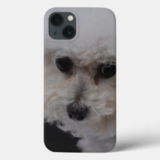 Sweet Bichon Friise iPhone 13 Hülle