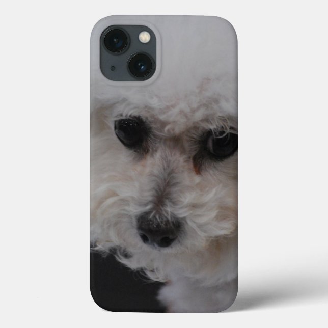 Sweet Bichon Friise Case-Mate iPhone Hülle (Rückseite)