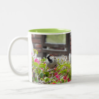 Sweet Bird-Tasse Zweifarbige Tasse