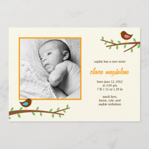 Sweet Birdies Baby Birth Ankündigung