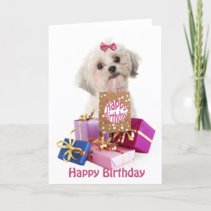 Sweet birthday card dog Maltese and presents Karte