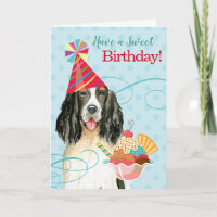 Sweet Birthday English Springer Spaniel