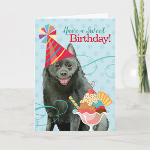 Sweet Birthday Schipperke Karte
