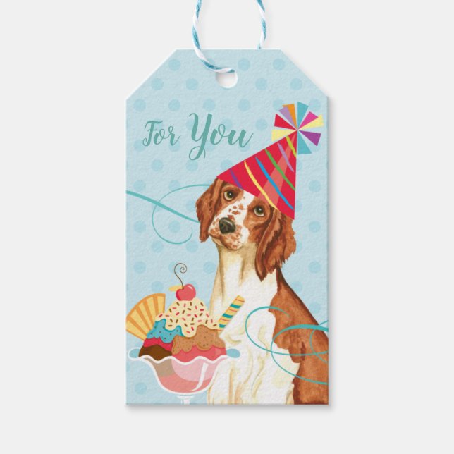 Sweet Birthday Welsh Springer Spaniel Geschenkanhänger (Vorderseite)