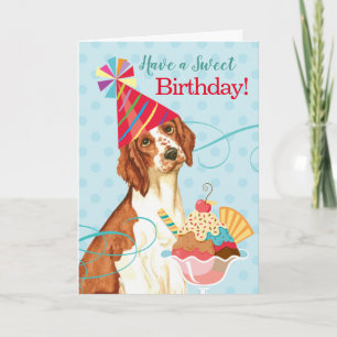 Sweet Birthday Welsh Springer Spaniel Karte