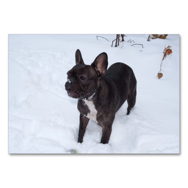 Sweet Black Bulldog Likes Snow Tischnummer (Vorderseite)