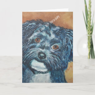 SWEET BLACK HAVANESE   Grußkarte Karte