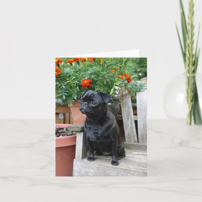 Sweet Black Pug Note Card - blank Karte (Vorderseite)