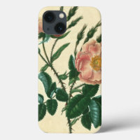 Sweet Briar Rose