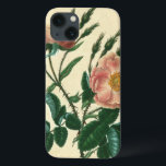 Sweet Briar Rose Case-Mate iPhone Hülle<br><div class="desc">floral</div>