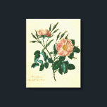 Sweet Briar Rose Leinwanddruck<br><div class="desc">floral</div>
