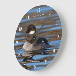 Sweet Bufflehead Duck in sonnenbeleuchteten Gewäss Große Wanduhr