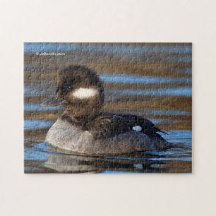 Sweet Bufflehead Duck in sonnenbeleuchteten Gewäss Puzzle