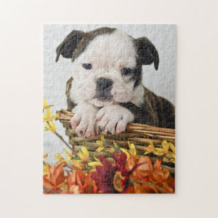 Sweet Bulldog Puppy Puzzle