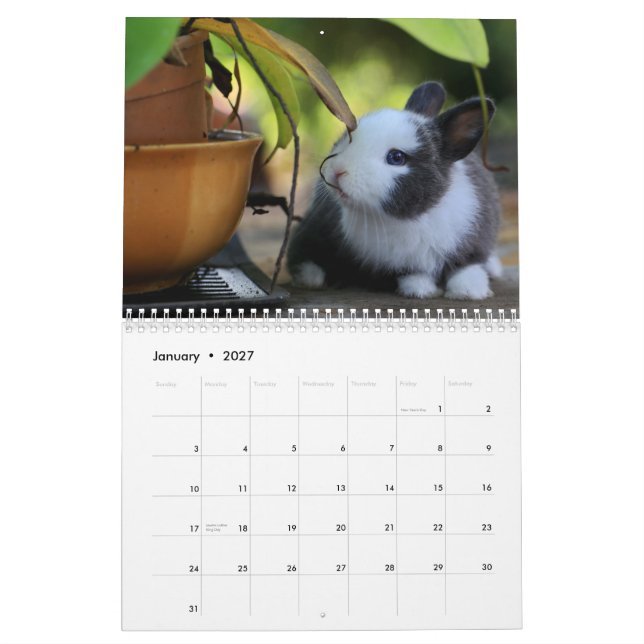 Sweet Bunny Rabbits 2024 Kalender (Jan 2027)