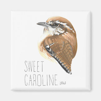 Sweet Caroline (Carolina Wren) Magnet