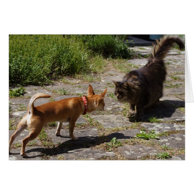 Sweet Charlie Chihuahua (Vorderseite (Horizontal))