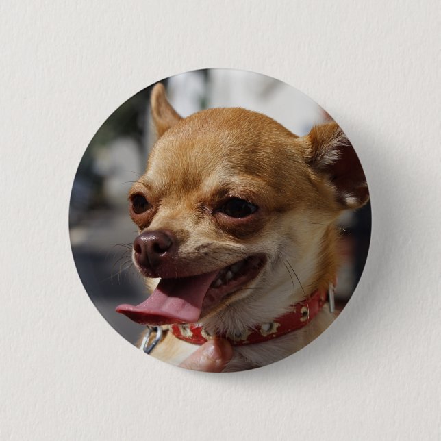 Sweet Charlie Chihuahua Button (Vorderseite)