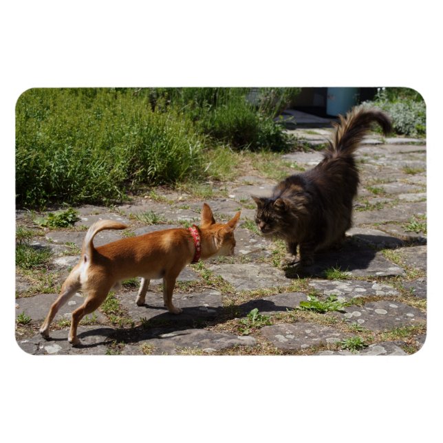 Sweet Charlie Chihuahua Magnet (Horizontal)