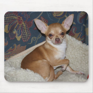 Sweet Charlie Chihuahua Mousepad