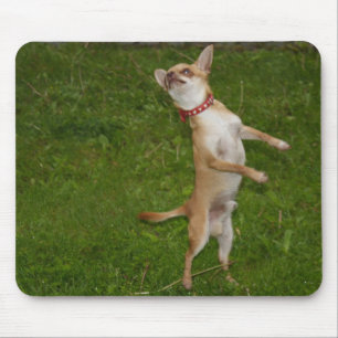 Sweet Charlie Chihuahua Mousepad