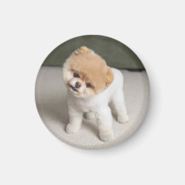 Sweet Charming Pom Einzigartiges Magnet