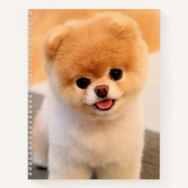 Sweet Charming Spitz Einzigartig Notizbuch