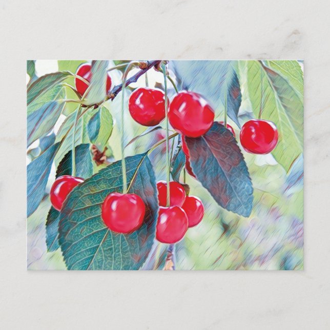 Sweet Cherries Postcard Postkarte (Vorderseite)