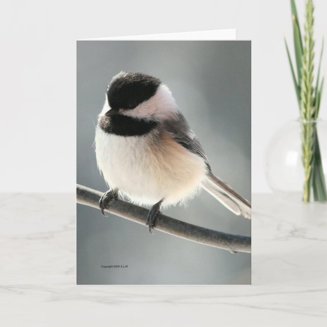 Sweet Chickadee Card Karte (Vorderseite)