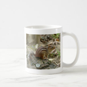 Sweet Chipmunk Hot Springs National Park Geschenke Kaffeetasse