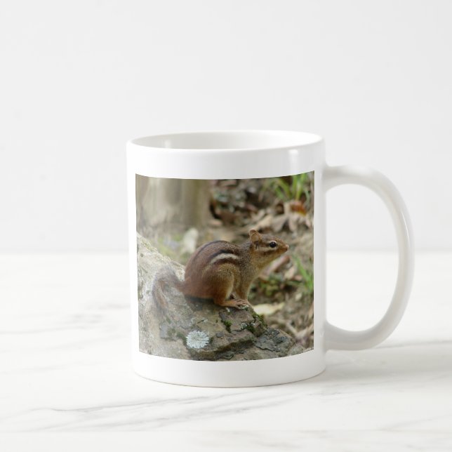 Sweet Chipmunk Hot Springs National Park Geschenke Kaffeetasse (Rechts)