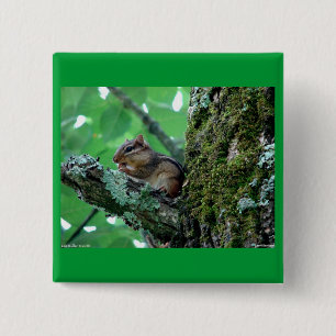 Sweet Chipmunk in einem Baumkleid und Geschenke Button