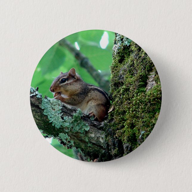 Sweet Chipmunk in einem Baumkleid und Geschenke Button (Vorderseite)
