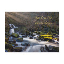 Sweet Creek Falls Oregon Postcard