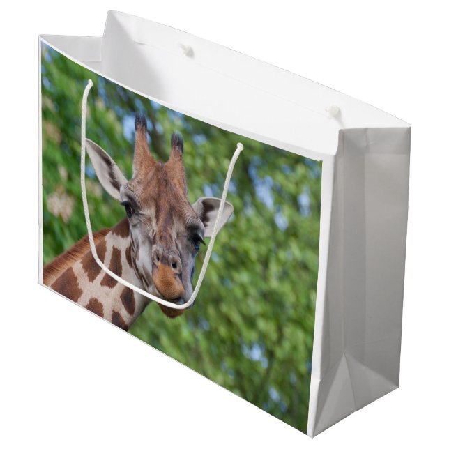 Sweet Curios Giraffe Große Geschenktüte (Vorderseite Schrägansicht)