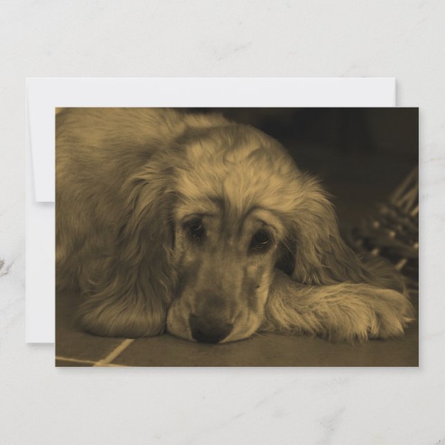 Sweet Dog - Golden Retriever in Sepia Tones Einladung (Vorderseite)