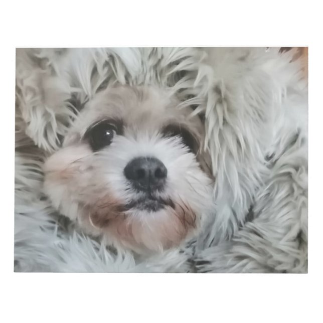 Sweet dog, puppy notizblock (Vorderseite)