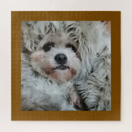 Sweet dog, puppy puzzle