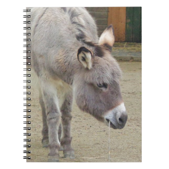 Sweet Donkey, Animal Gray, Horse Family Notizblock (Vorderseite)
