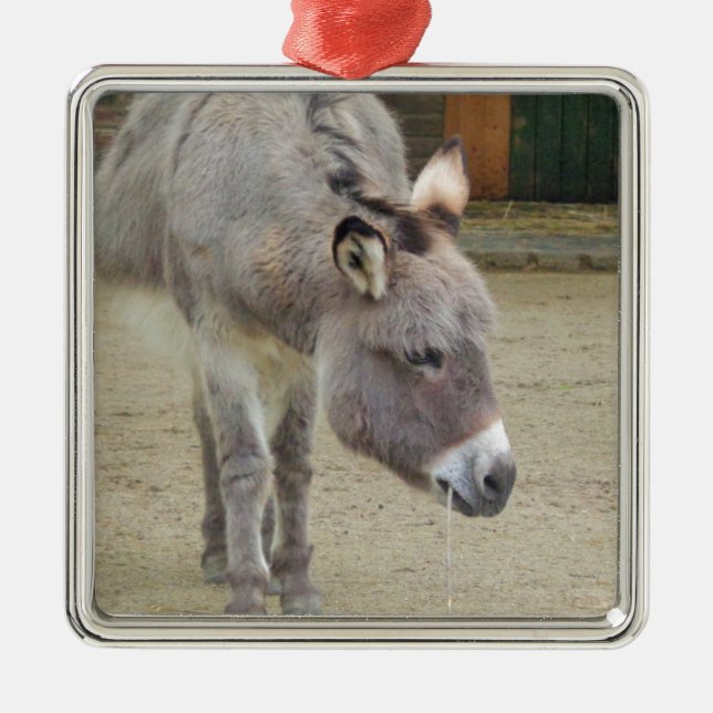 Sweet Donkey, Animal Gray, Horse Family Silbernes Ornament (Vorne)